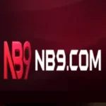 NB9 Game